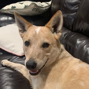 Meet your Posher, Kassidy